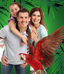 Anne ve Baba + 1 Çocuk