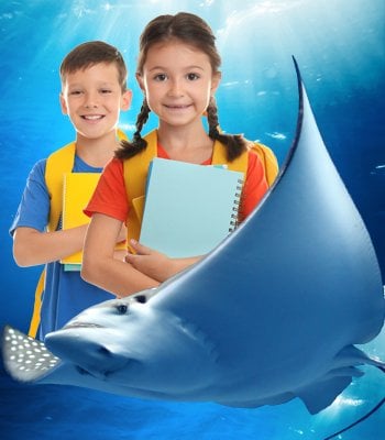 Yıllık Üyelik Öğrenci